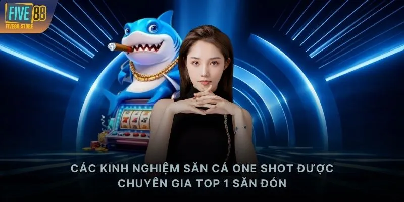 Các kinh nghiệm săn cá One Shot được chuyên gia TOP 1 săn đón